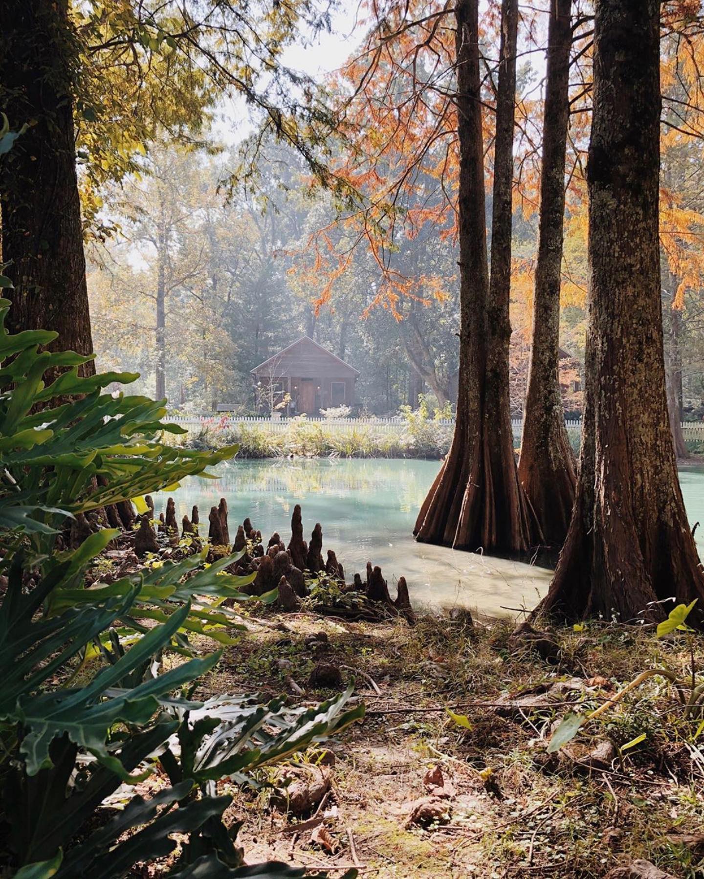 77330117_2512110762240117_2945617231637118976_n