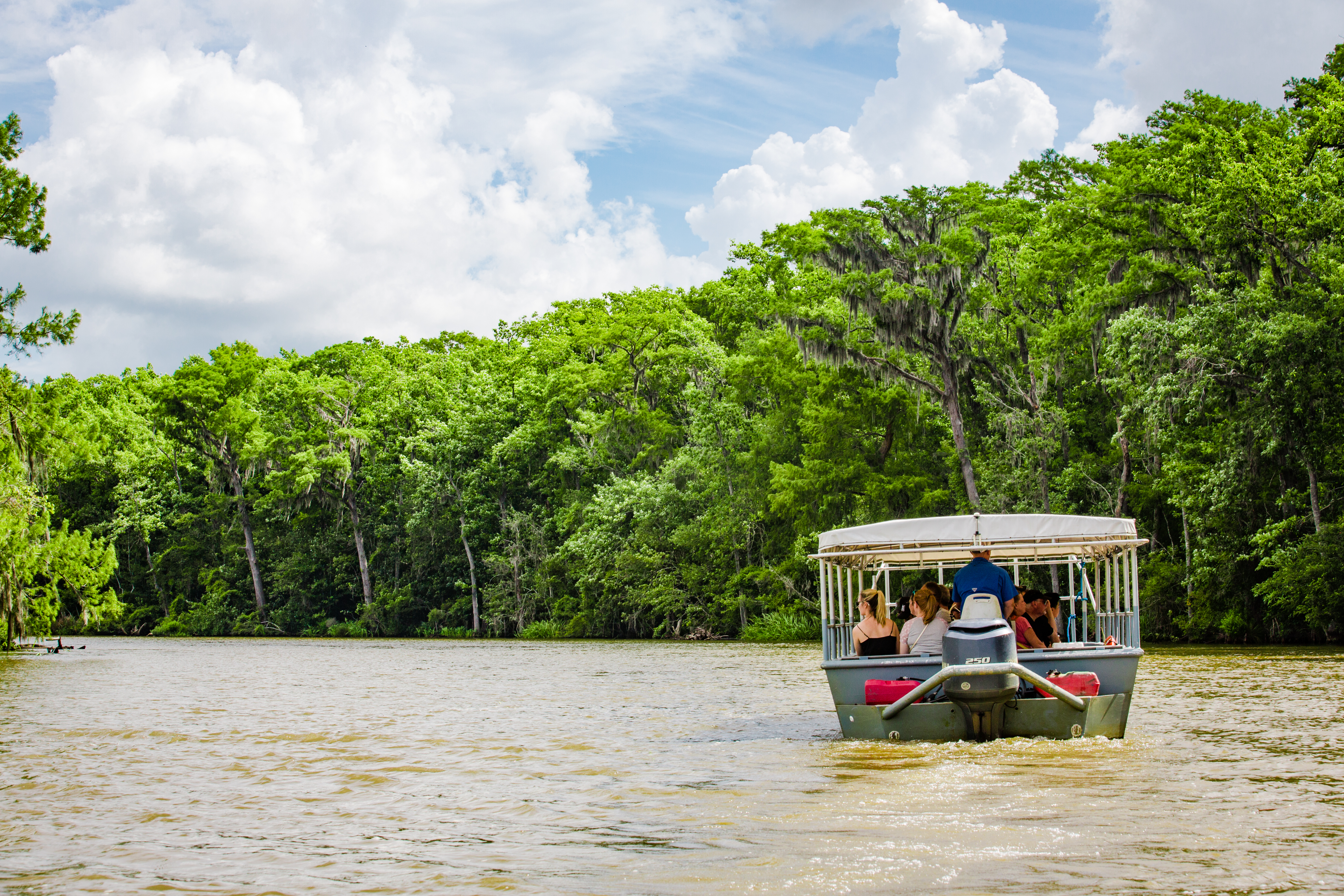 Honey Island Swamp Tour. Photo courtesy LouisianaNorthshore.com (1)