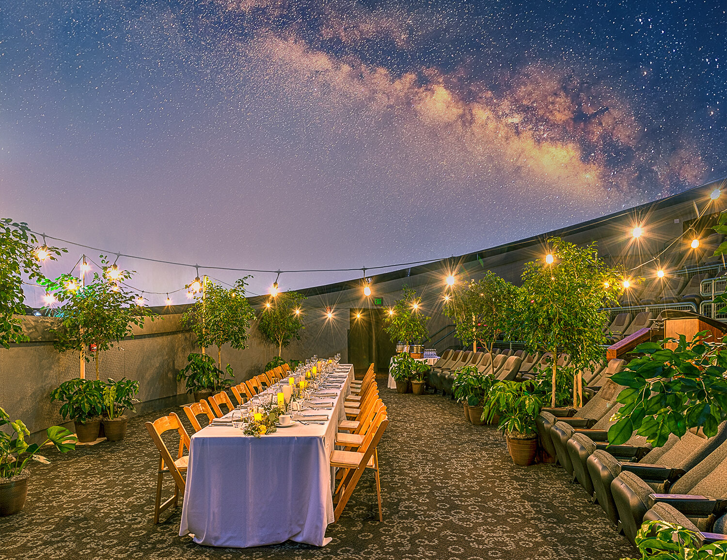 LASM Dinner Under the Stars
