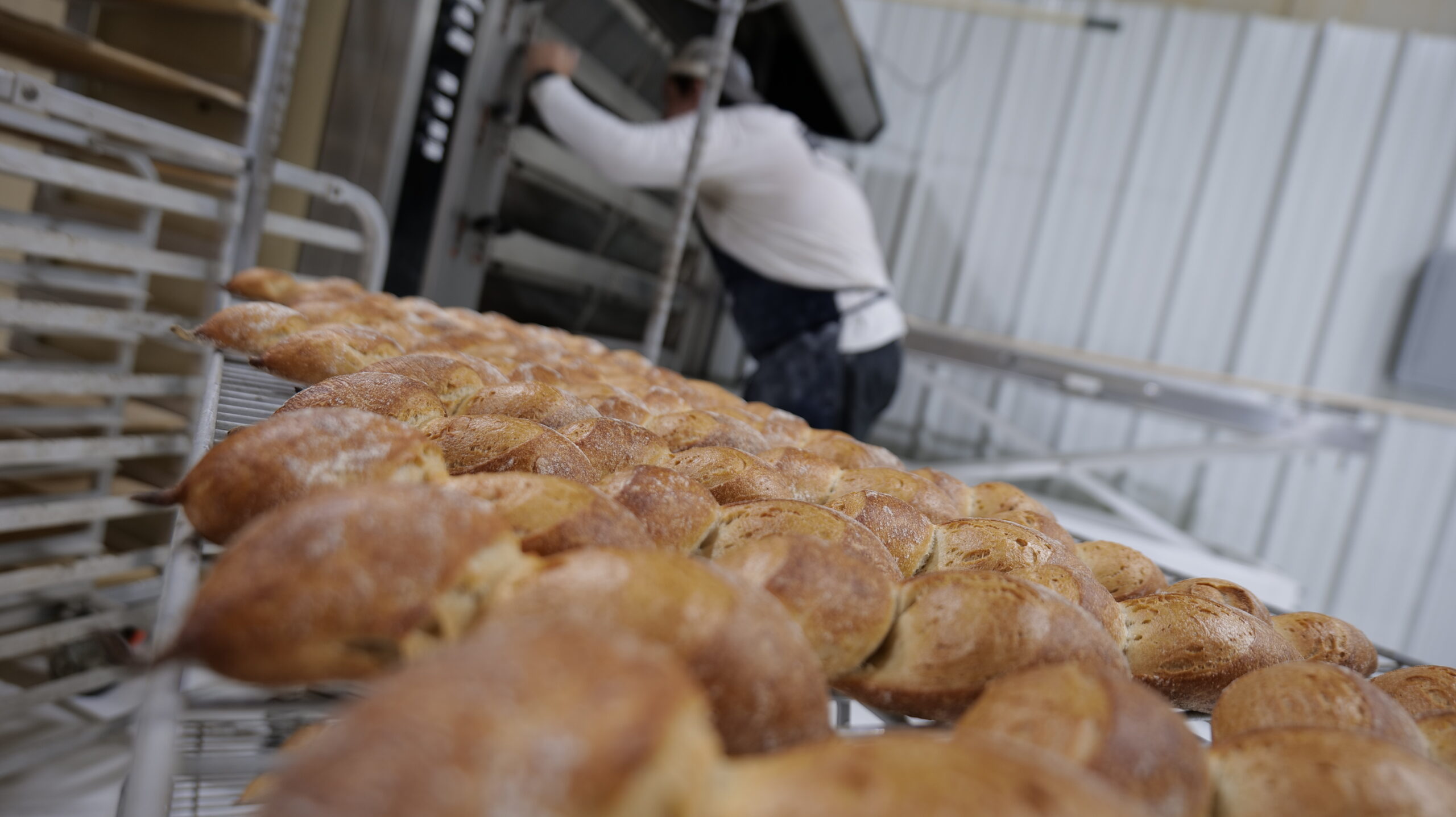 St. Bruno Bread bakery Baton Rouge sour dough