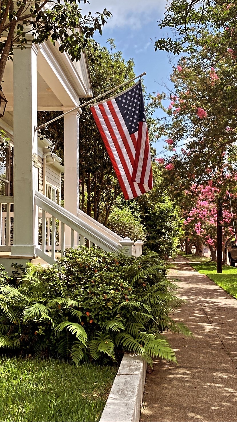 american_flag_crepe_myrtles