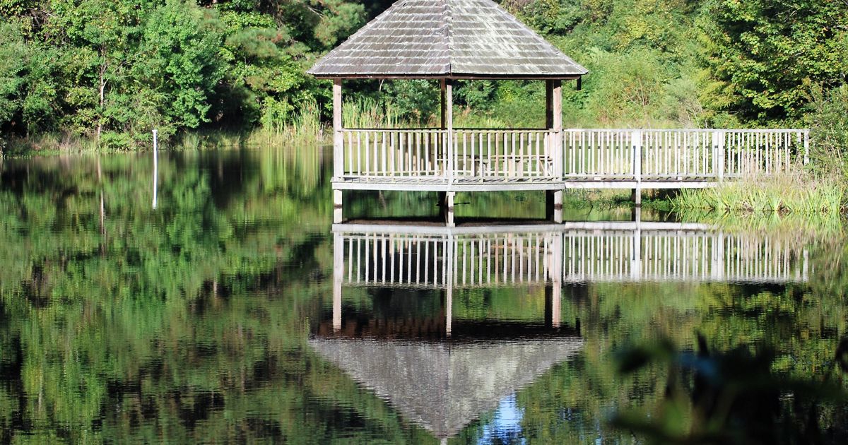 maryannbrownpreserve