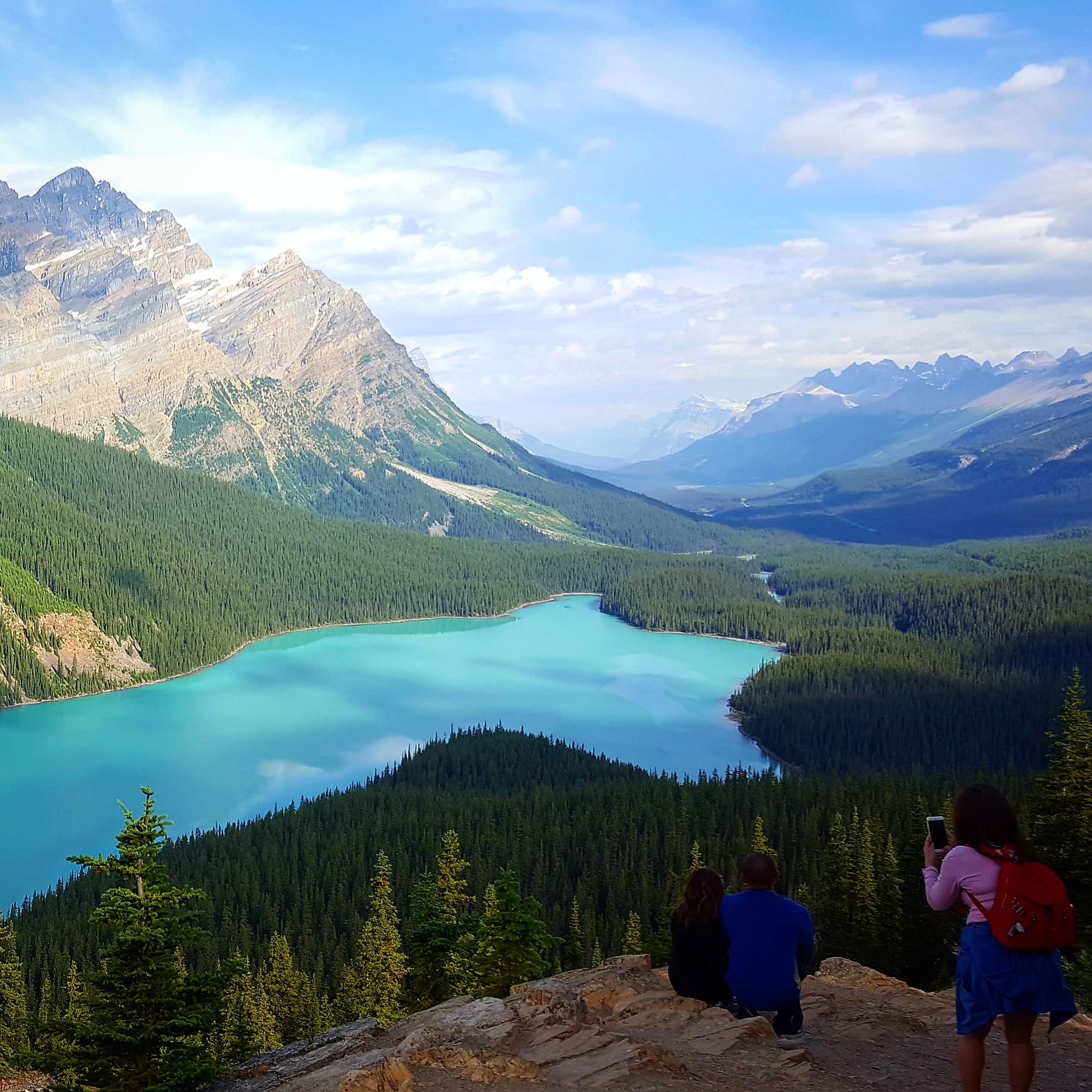 The magnificent beauty ....